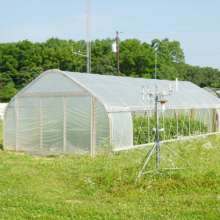 Agriculture Tomato Farming - 8x30 Metal Frame Commercial Single Tunnel