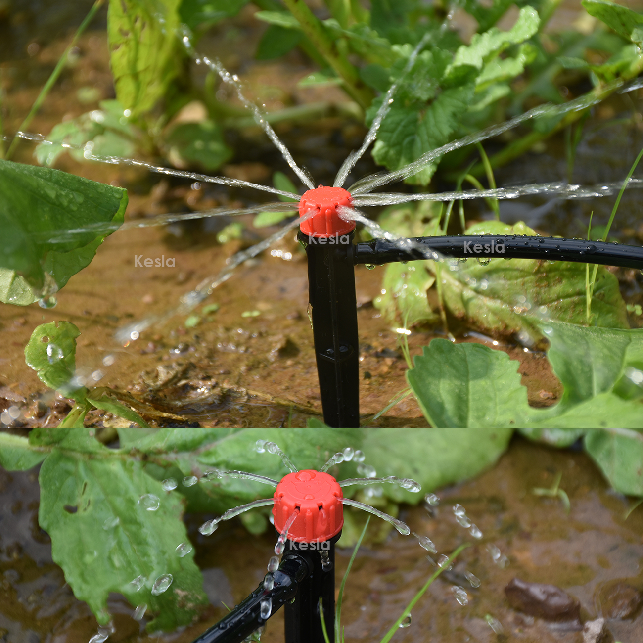 KESLA Garden Watering Drip Irr – Irrigation Drip Tape Bewertung und Preis