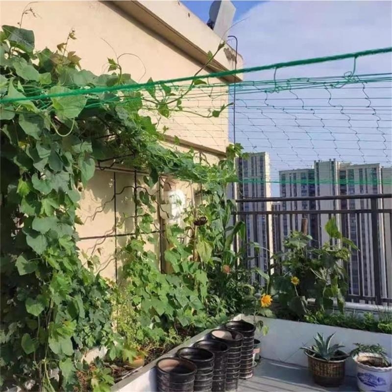 Mesh 9 Strands Agricultural Vi – Agriculture Farming Net Bewertung und Preis
