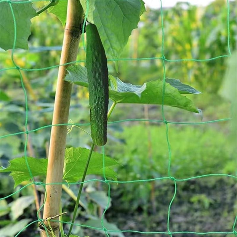 Mesh 9 Strands Agricultural Vi – Agriculture Farming Net Bewertung und Preis
