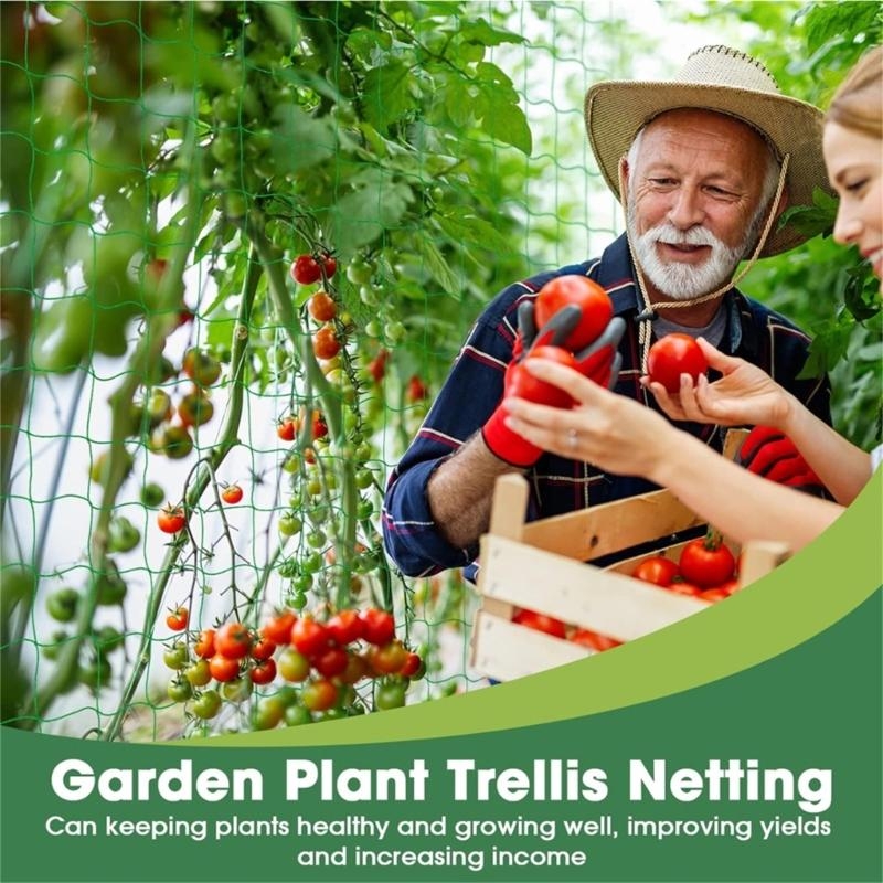 Mesh 9 Strands Agricultural Vi – Agriculture Farming Net Bewertung und Preis