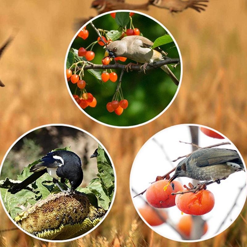 Solar Timer Bird Repeller With – Solar Bird Scarer Bewertung und Preis