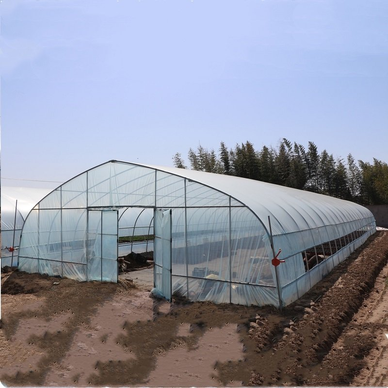 8x30 Metal Frame Commercial Si – Agriculture Tomato Farming Bewertung und Preis