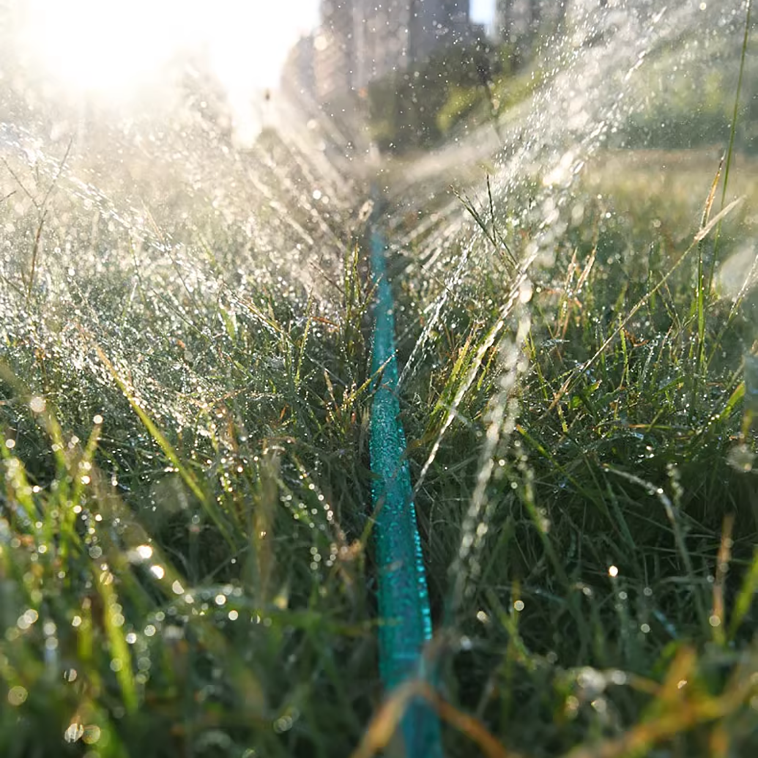 3/4.5/7.5/10/15M Porous Soaker – Irrigation Drip Tape Bewertung und Preis