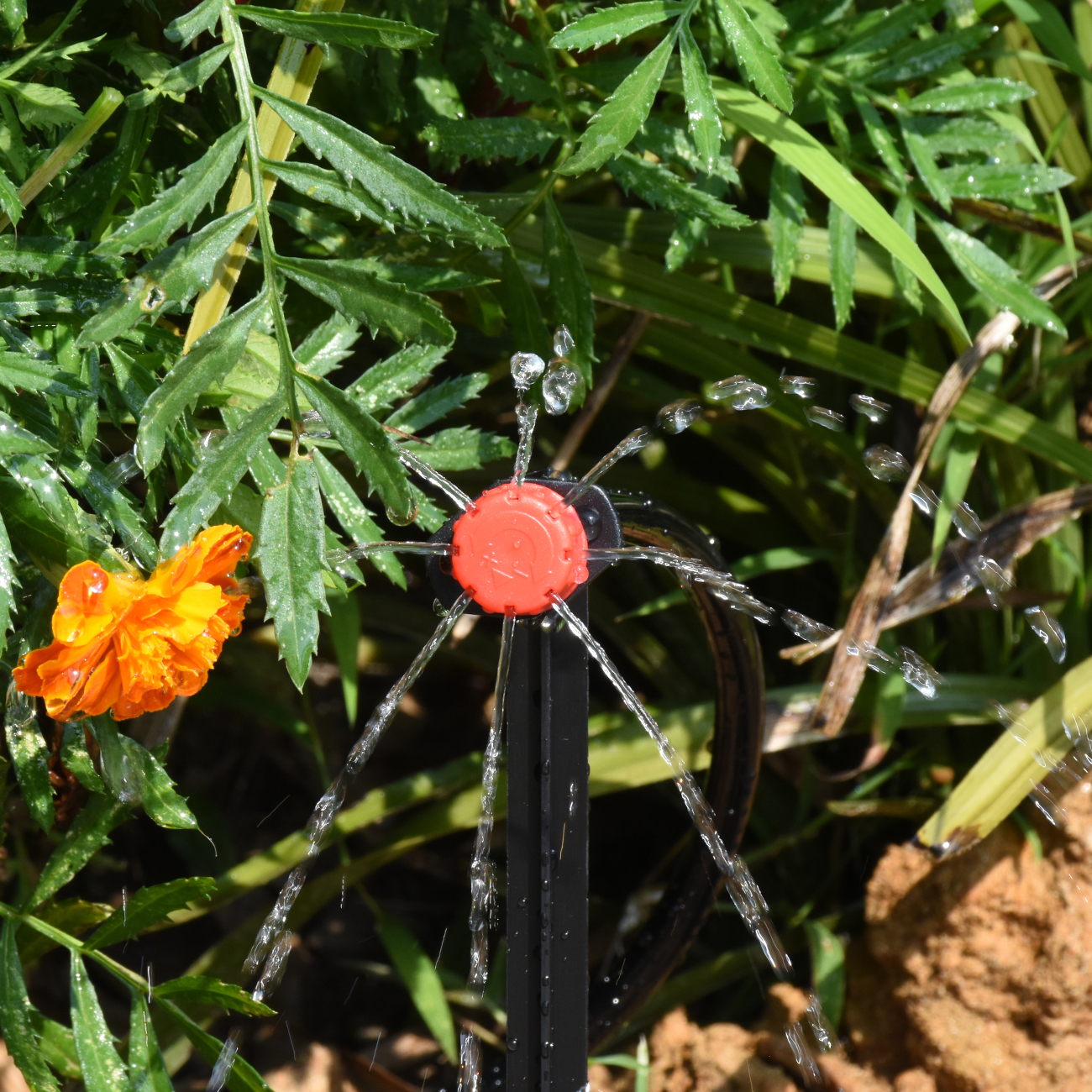 KESLA 30-800X Garden Drip Irri – Irrigation Drip Tape Bewertung und Preis