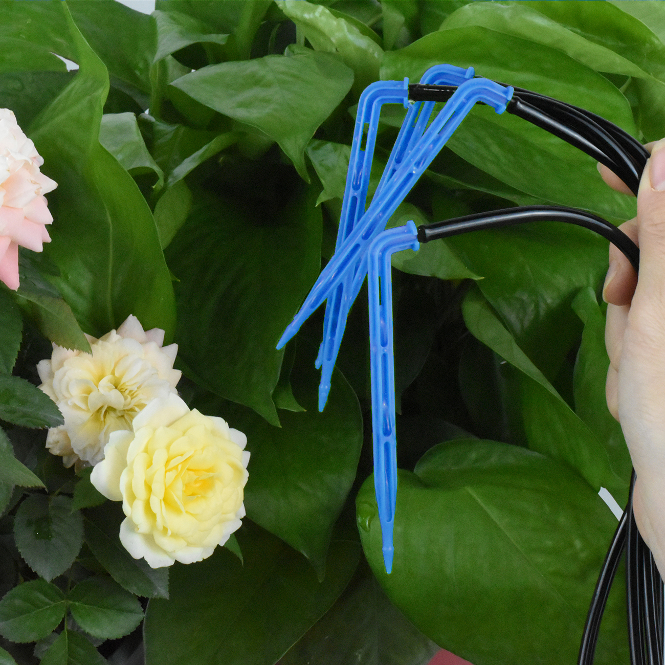 KESLA Drip Irrigation Kit 10-1 – Irrigation Drip Tape Bewertung und Preis