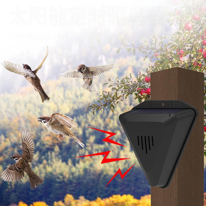 Solar Timer Bird Repeller With – Solar Bird Scarer Bewertung und Preis