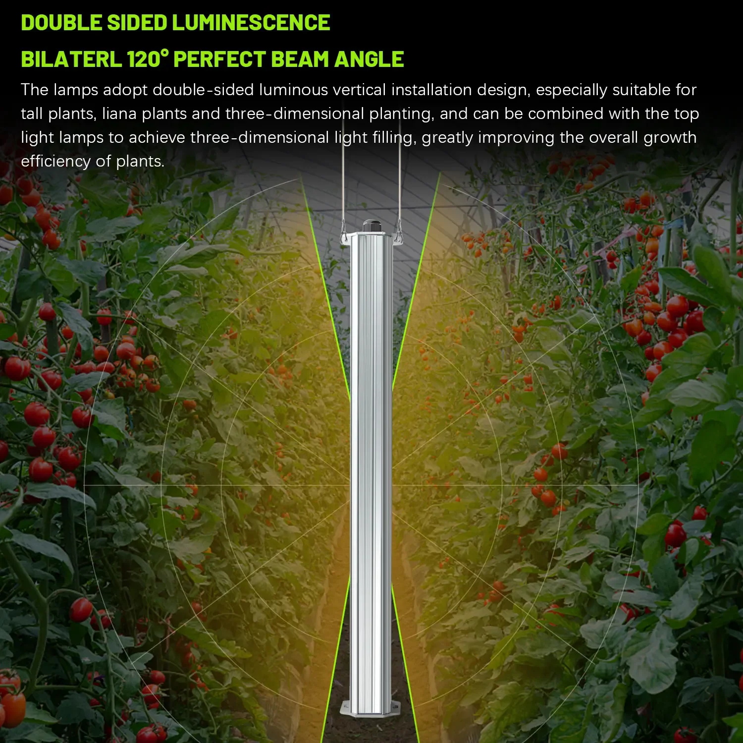 Best ETL Listed Plant Green Wa – Agriculture Tomato Farming Bewertung und Preis