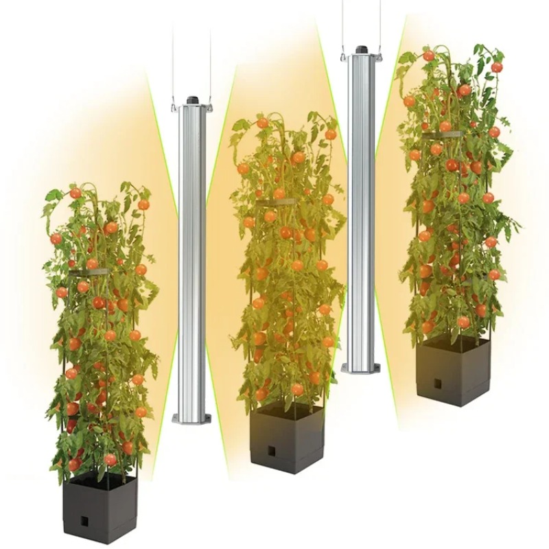 Best ETL Listed Plant Green Wa – Agriculture Tomato Farming Bewertung und Preis