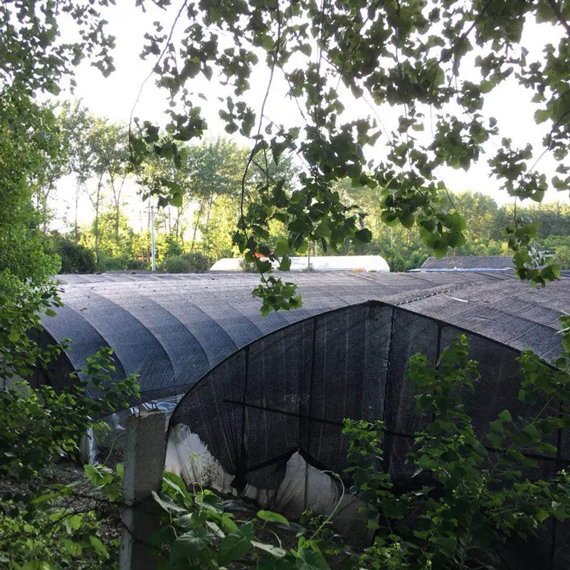 35~80% Shading Anti-UV Black H – Agriculture Farming Net Bewertung und Preis