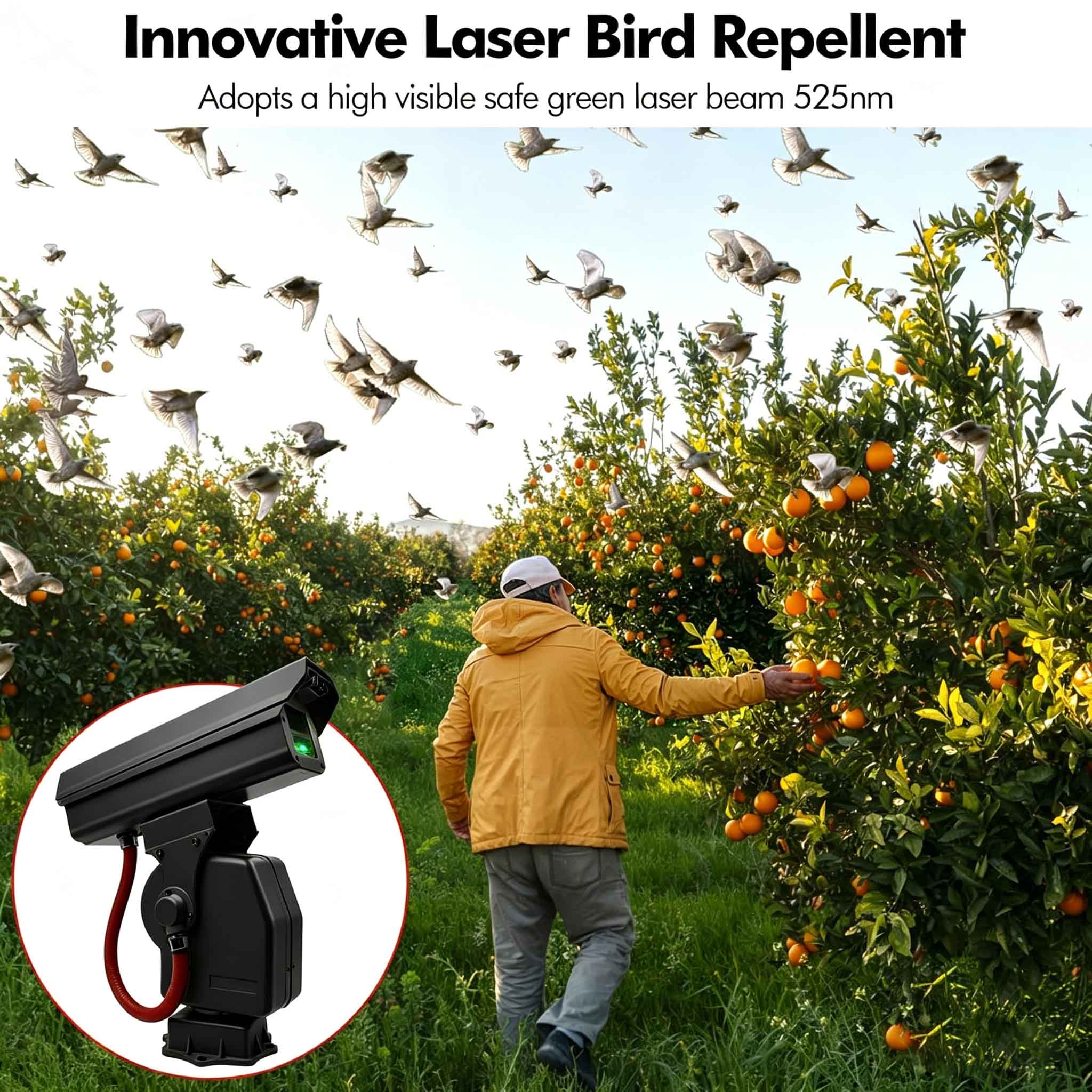 High Precision Smart APP 1W Gr – Precision Farming Smart Agriculture Bewertung und Preis