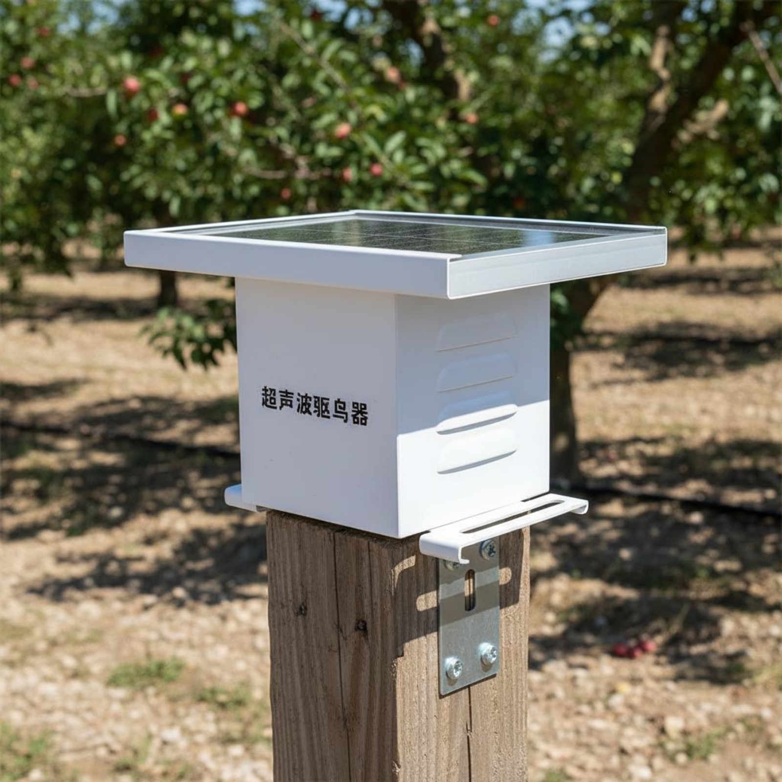 Solar High-Frequency Bird Repe – Solar Bird Scarer Bewertung und Preis