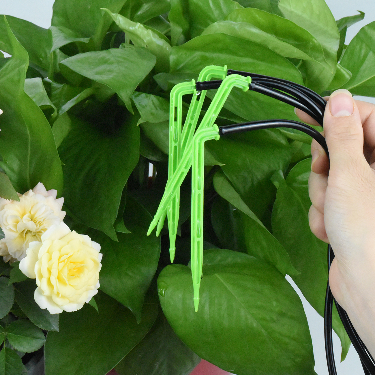 KESLA 25PCS Greenhouse Bend Ar – Irrigation Drip Tape Bewertung und Preis